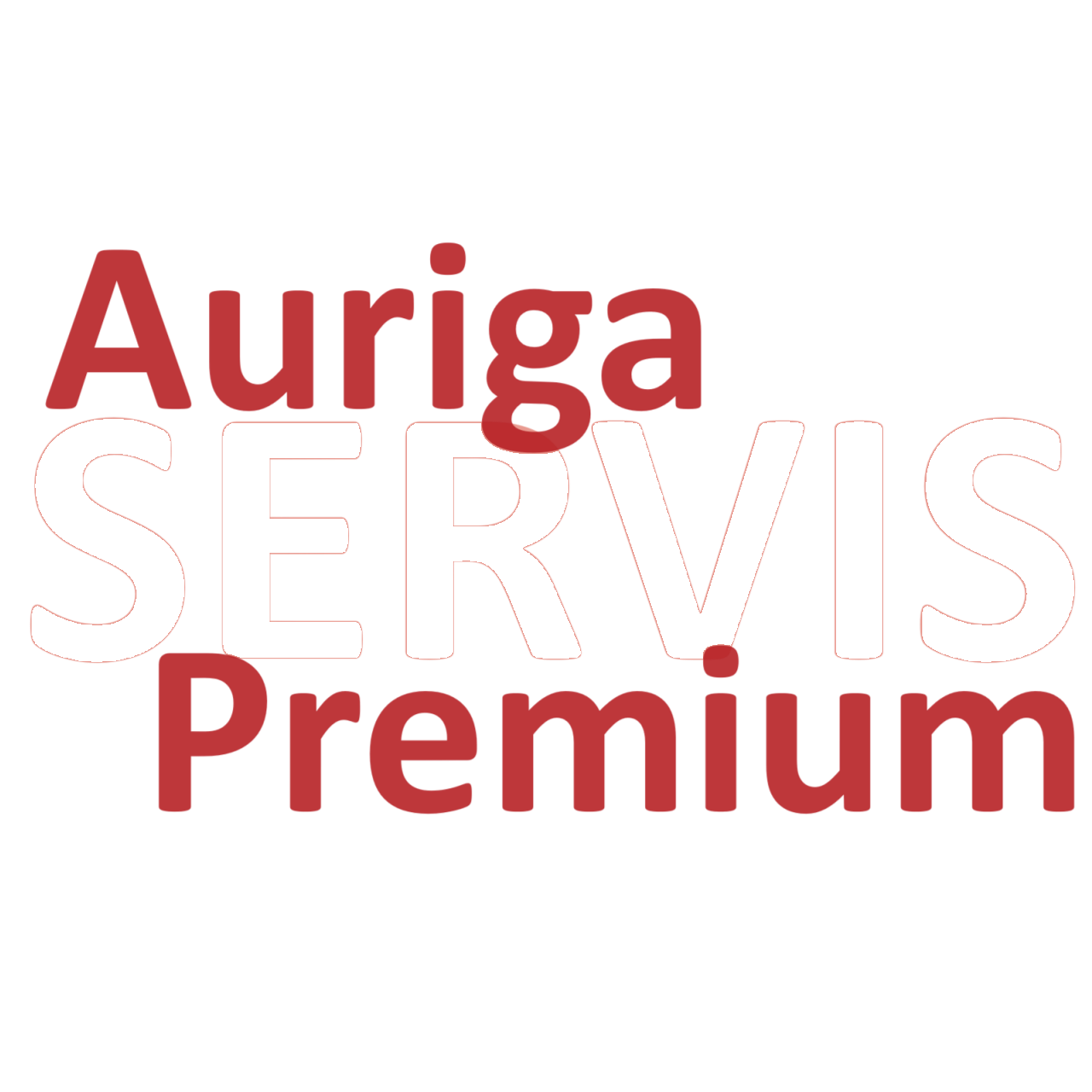 Auriga SERVIS Premium